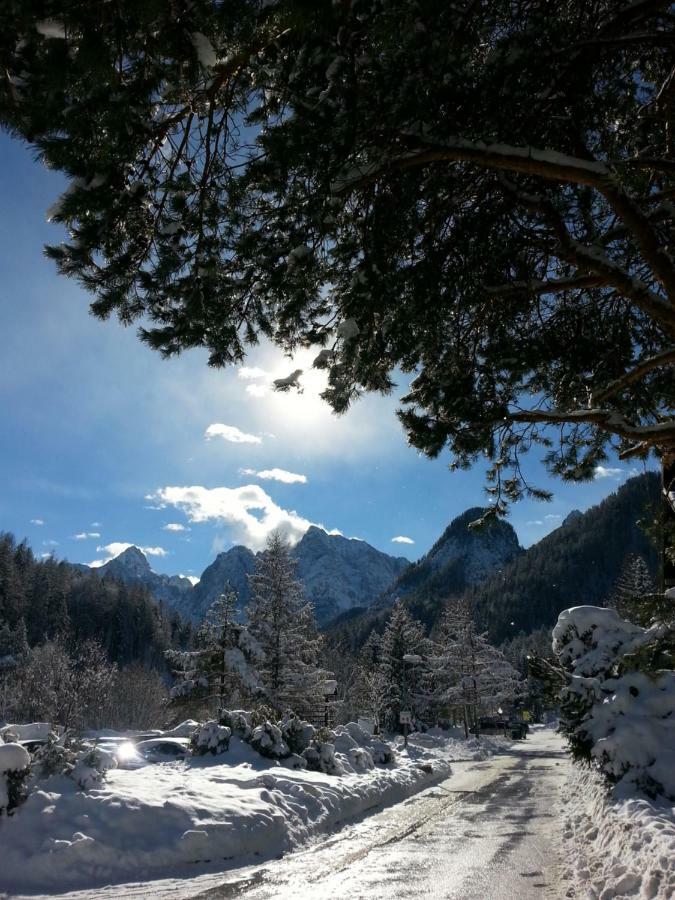 Apartmaji Gros Kranjska Gora Eksteriør billede